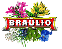 Braulio Logo